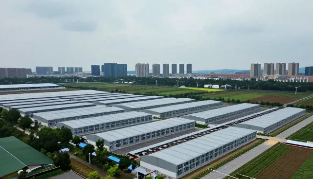 如何通过技术转让服务优化维护策略